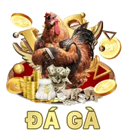 Các chương trình khuyến mãi và ưu đãi độc quyền của G69
